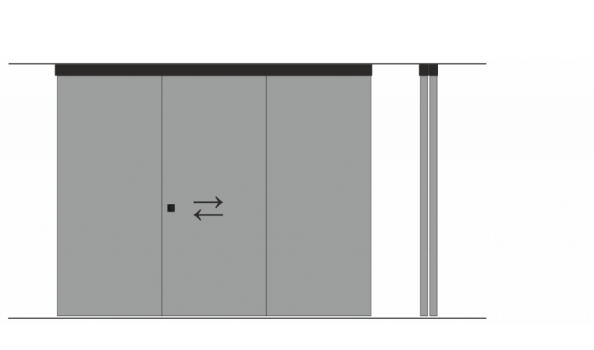 Open system constructive decision